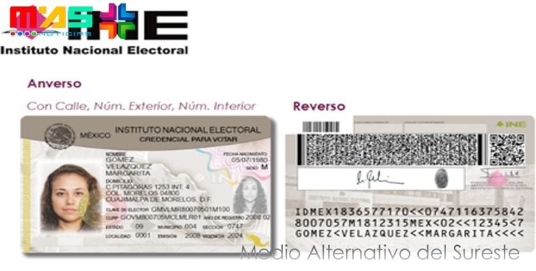 Base de datos del INE, la filtración y el hombre que lo descubrió