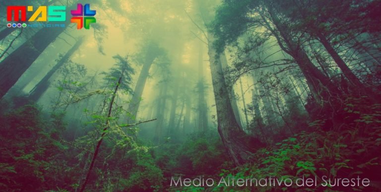 Congreso Internacional de Recursos Forestales