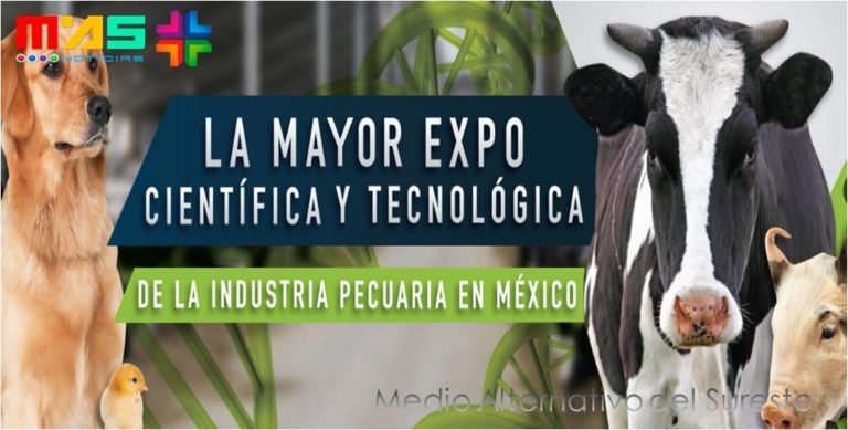 EXPO Figap 2016 en Expo Guadalajara, AFSA