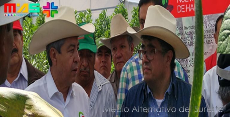 Demostraciones de Campo, Amilcar Sala