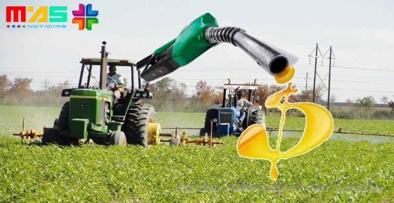 El impacto del alza de la gasolina será más drástico para el campo: Amilcar Sala