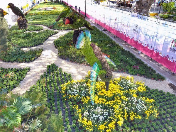 El alcalde Mauricio Vila inaugura “Camino de Flores” en el parque de La Mejorada