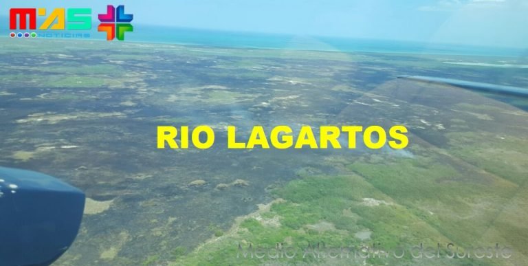 Es controlado incendio de Río Lagartos