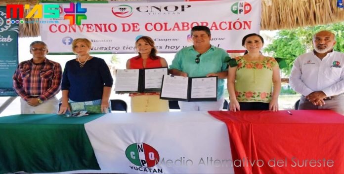 cnop yucatan vaciones