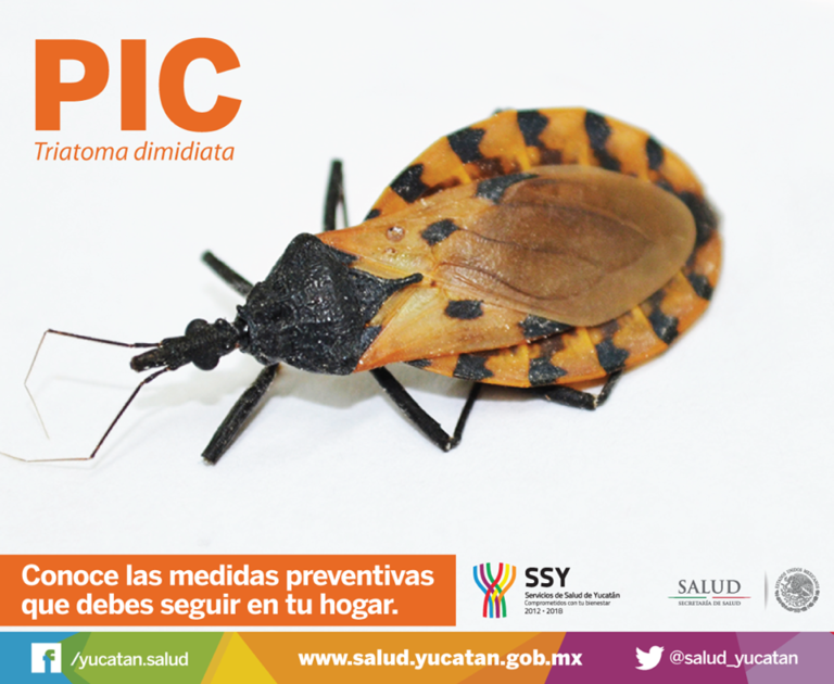 Medidas preventivas contra el PIC y el mal de Chagas