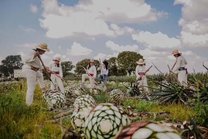 Carmen Lucia Barajas Cárdenas