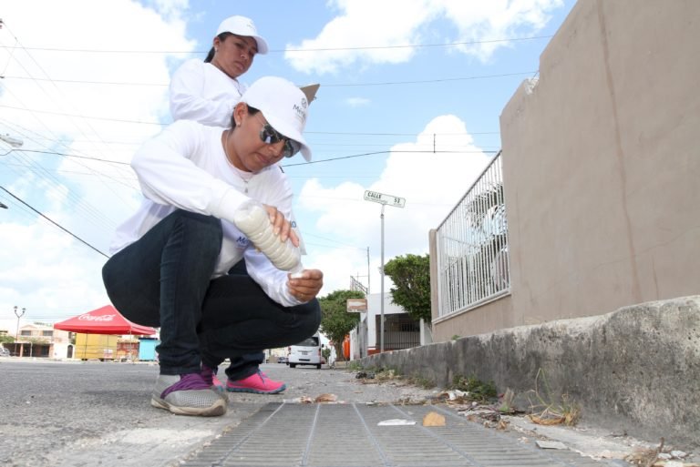 Avanzan a buen ritmo las brigadas de la Séptima Campaña de Control Larvario
