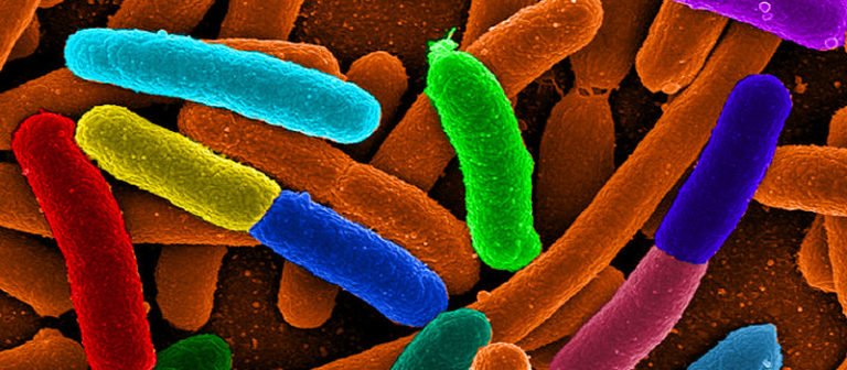 ¿Qué es la Pielonefritis?