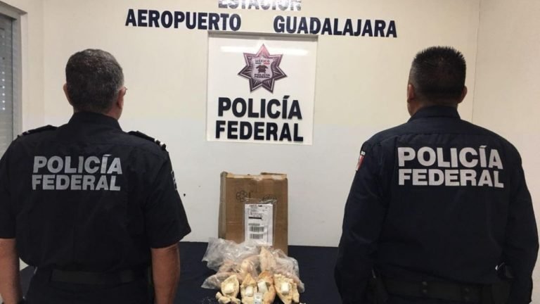 Policía Federal incauta ‘tortas de cocaína’ en aeropuerto de Guadalajara