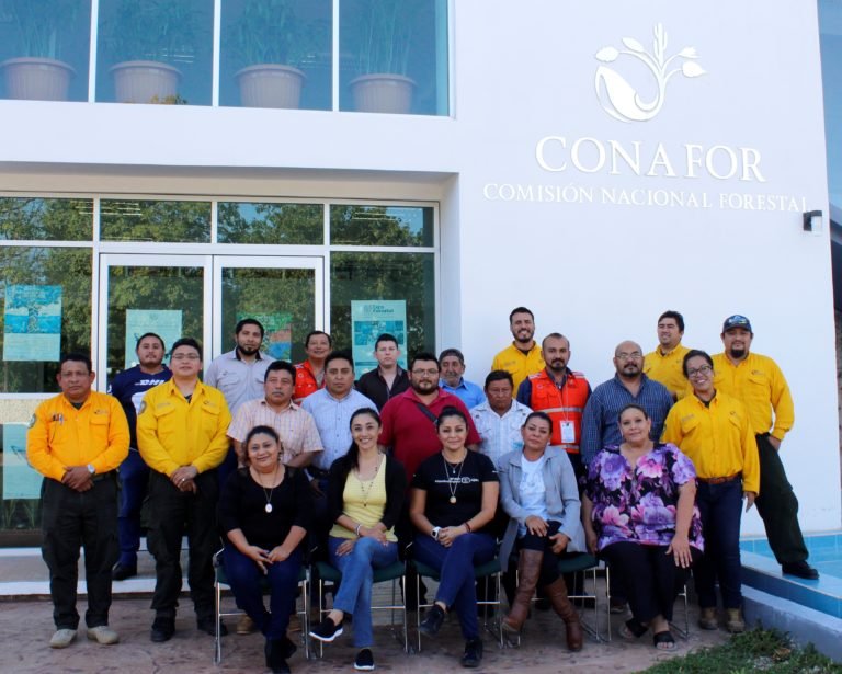 Capacita CONAFOR a técnicos especialistas en el manejo de fuego en Yucatán