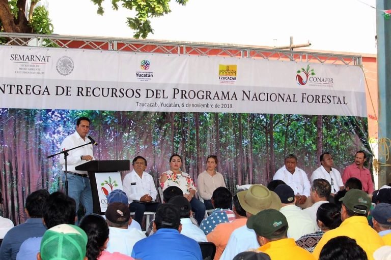 Impulsa CONAFOR al  sector forestal de Yucatán con 615 mdp