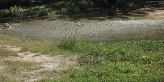 IMG-20181231-WA0036-660x330