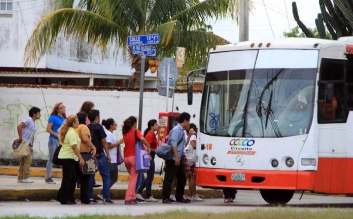 baja transpote publico en merida