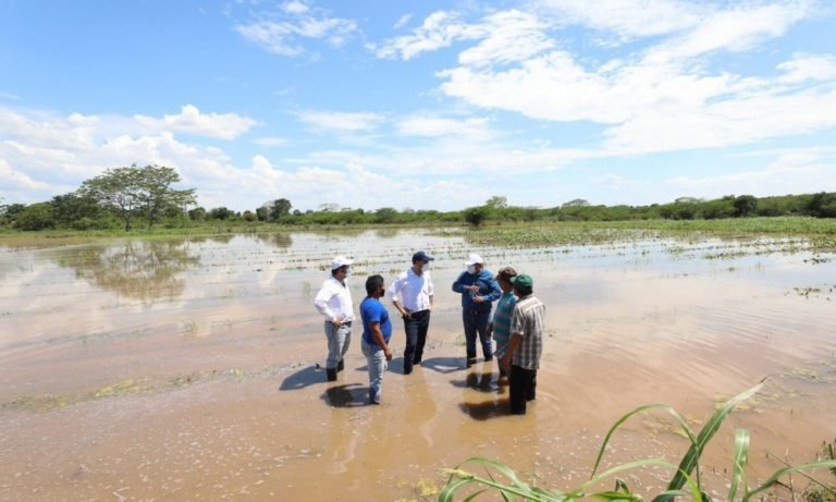 85% de los cultivos de Yucatán se perdieron por Tormenta Tropical “Cristóbal”: Mauricio Vila
