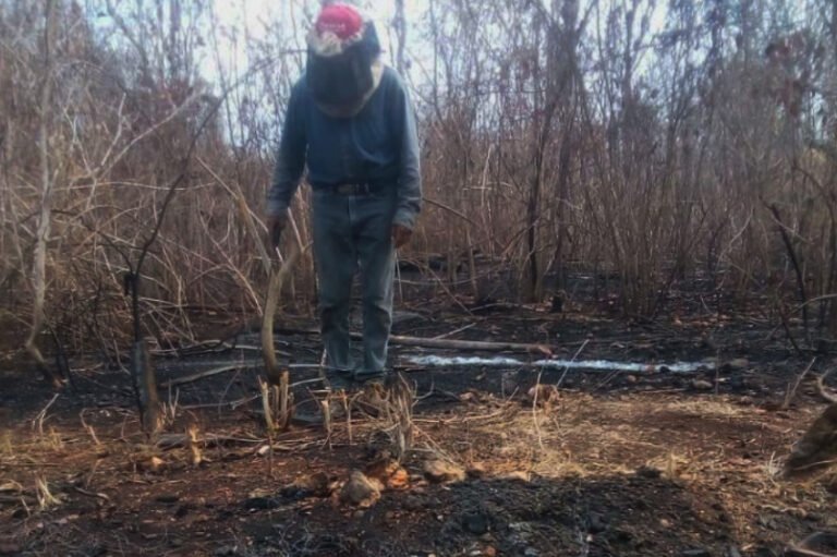 Afectados piden apoyo para recuperar apiarios consumidos en incendio entre Campeche y Quintana Roo
