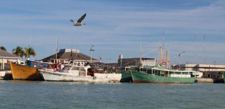 Abren Peso a Peso para pescadores