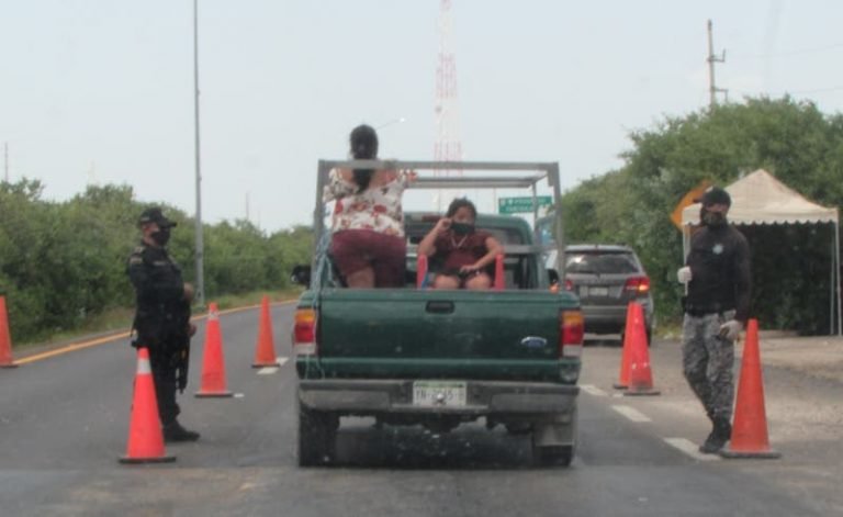 Trasladar el pulpo, un lío