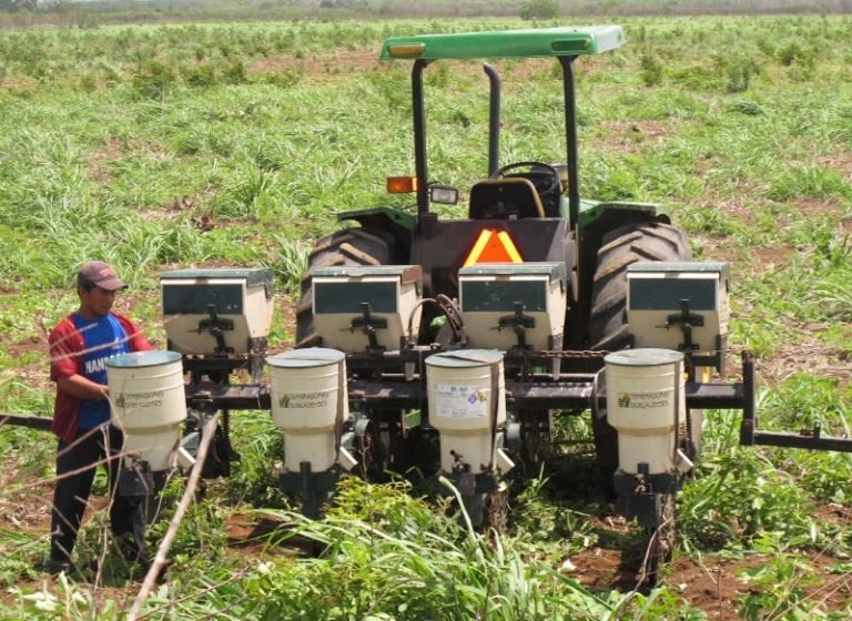 Nueva iniciativa de ley sobre el cultivo de semillas