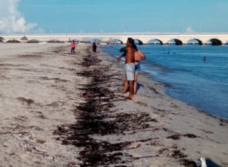 Numerosos paseantes en Progreso: intensifican la vigilancia