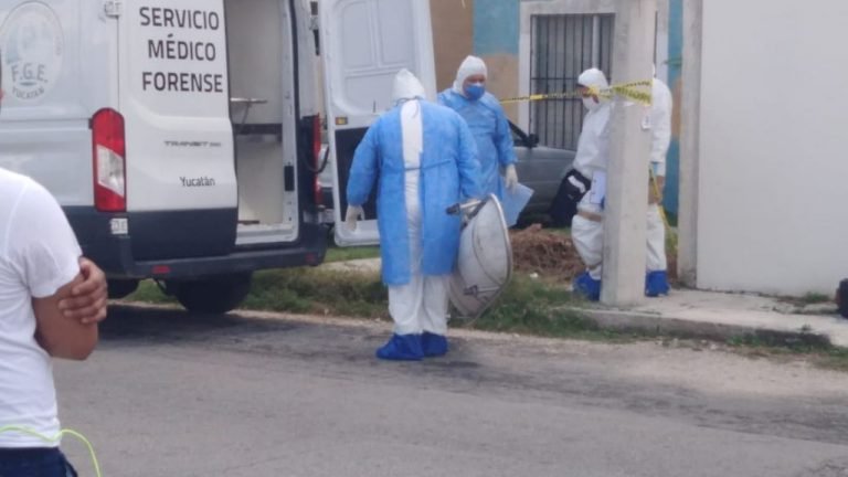 Borrador automático