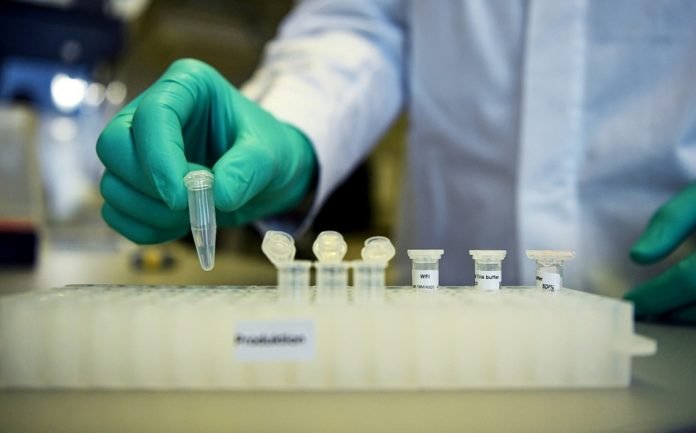 fase-mostrar-efectividad-seguridad-vacuna_0_51_1200_746