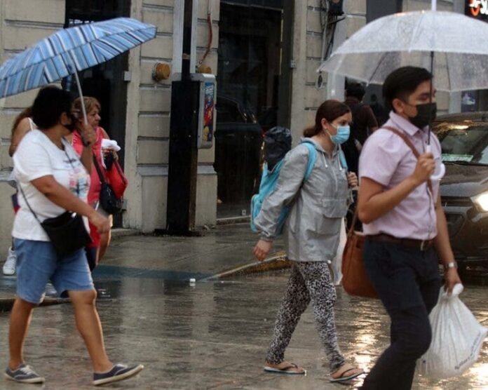 IMG-37502737-768x613-1