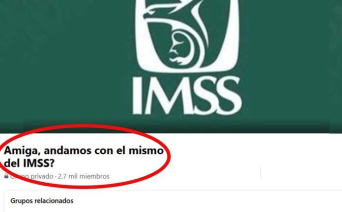 amiga-andamos-imss-crean-grupo