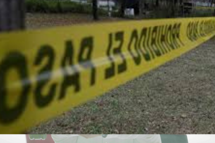 Diseno-sin-titulo-2021-12-26T143549.582