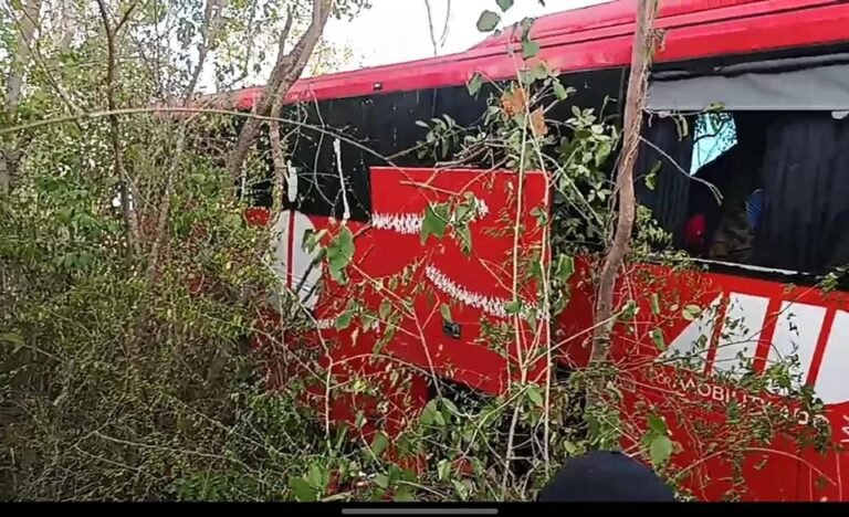 ¡Se sale de la carretera autobús del ADO en la carretera MÉRIDA–CANCÚN!