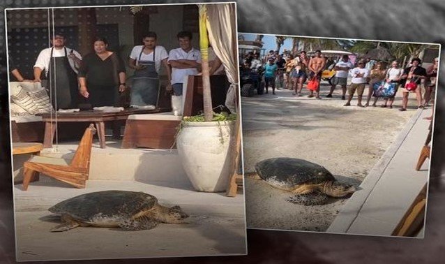 “Que fuerte volver a tu hogar y encontrarlo cambiado”