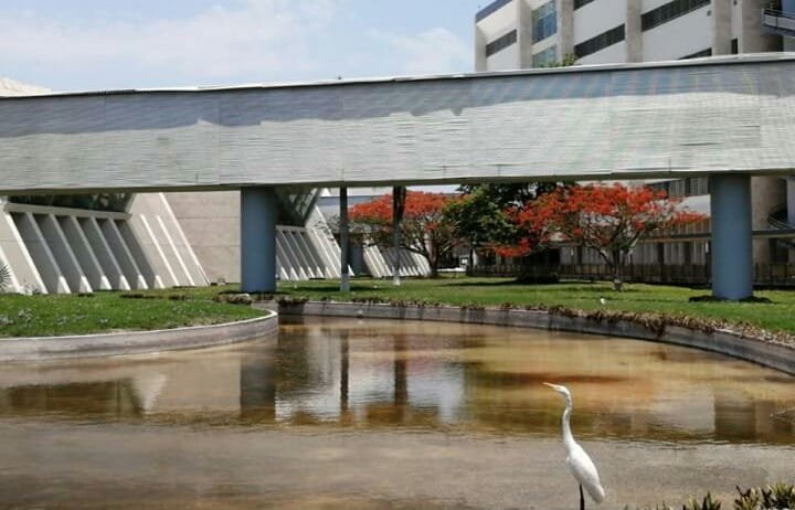 Desaparición del Hospital Regional de Alta Especialidad en Yucatán: ¿Dónde Queda «Primero los Pobres»?