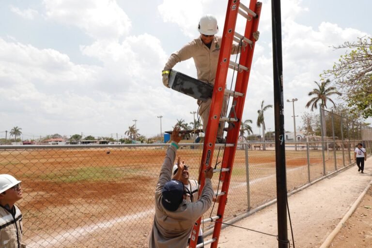 El ayuntamiento supervisa el funcionamiento de las descargas eléctricas de los parques