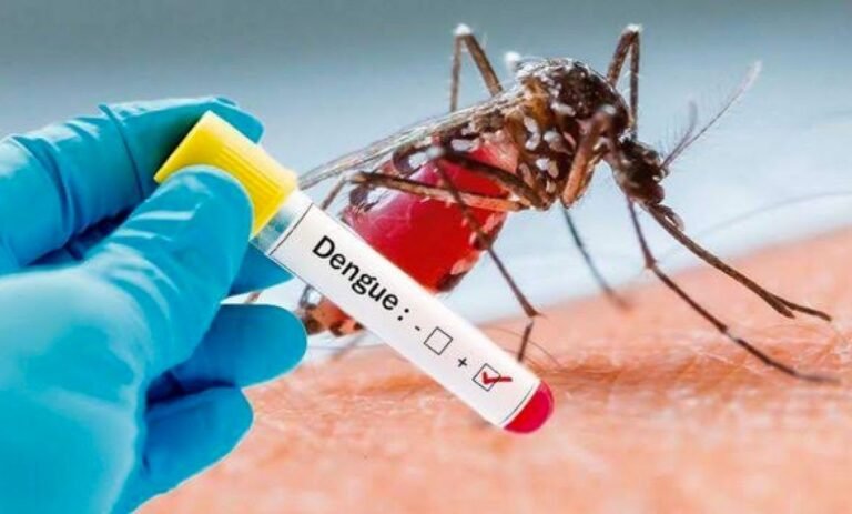 Dengue en Yucatán 2025: Primeros casos graves y la amenaza de un virus agresivo