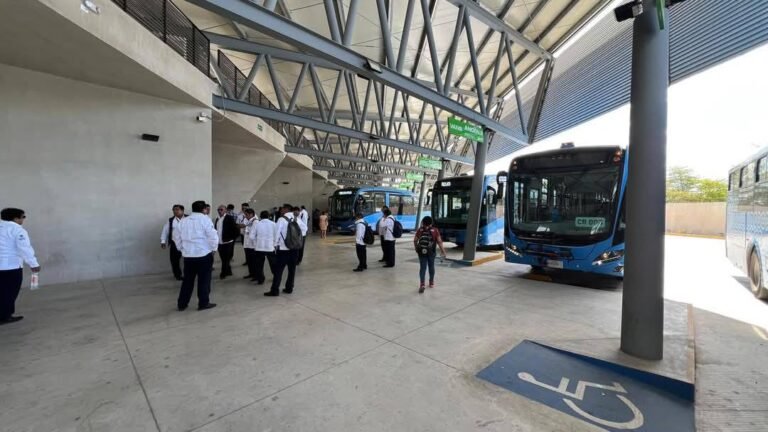 PARO DE CHOFERES DEL «VA Y VEN» DEJA SIN SERVICIO A MILES DE USUARIOS, NO LES DIERON UTILIDADES