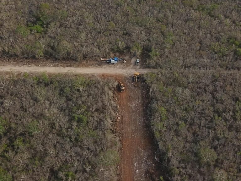 Alerta en Misnébalam: Denuncian deforestación ilegal en territorio protegido