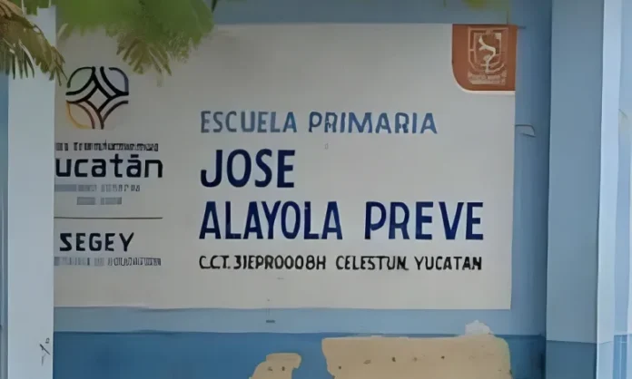 escuela primaria de celestum