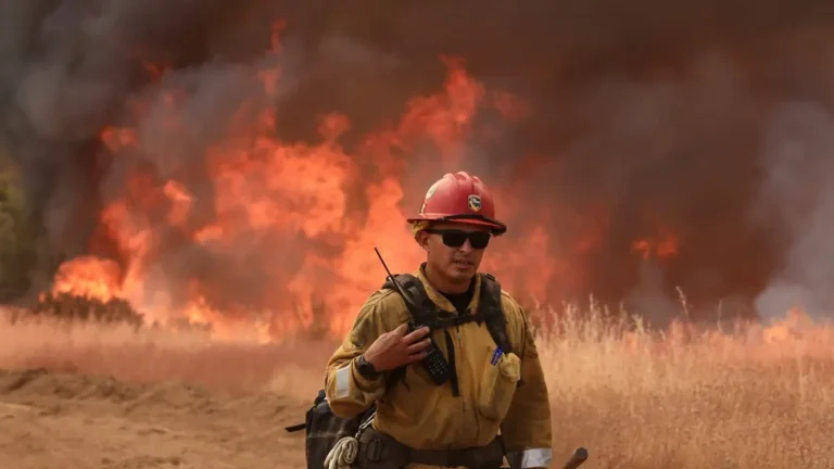 Incendios forestales desatan alerta en Centro de California, EE. UU.